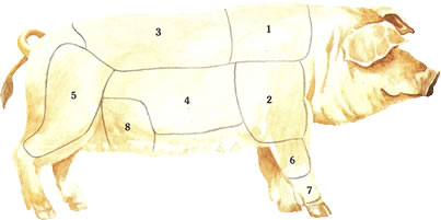 mapa do porco